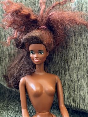 Barbie Brown Skin, redish brown and brown hair.